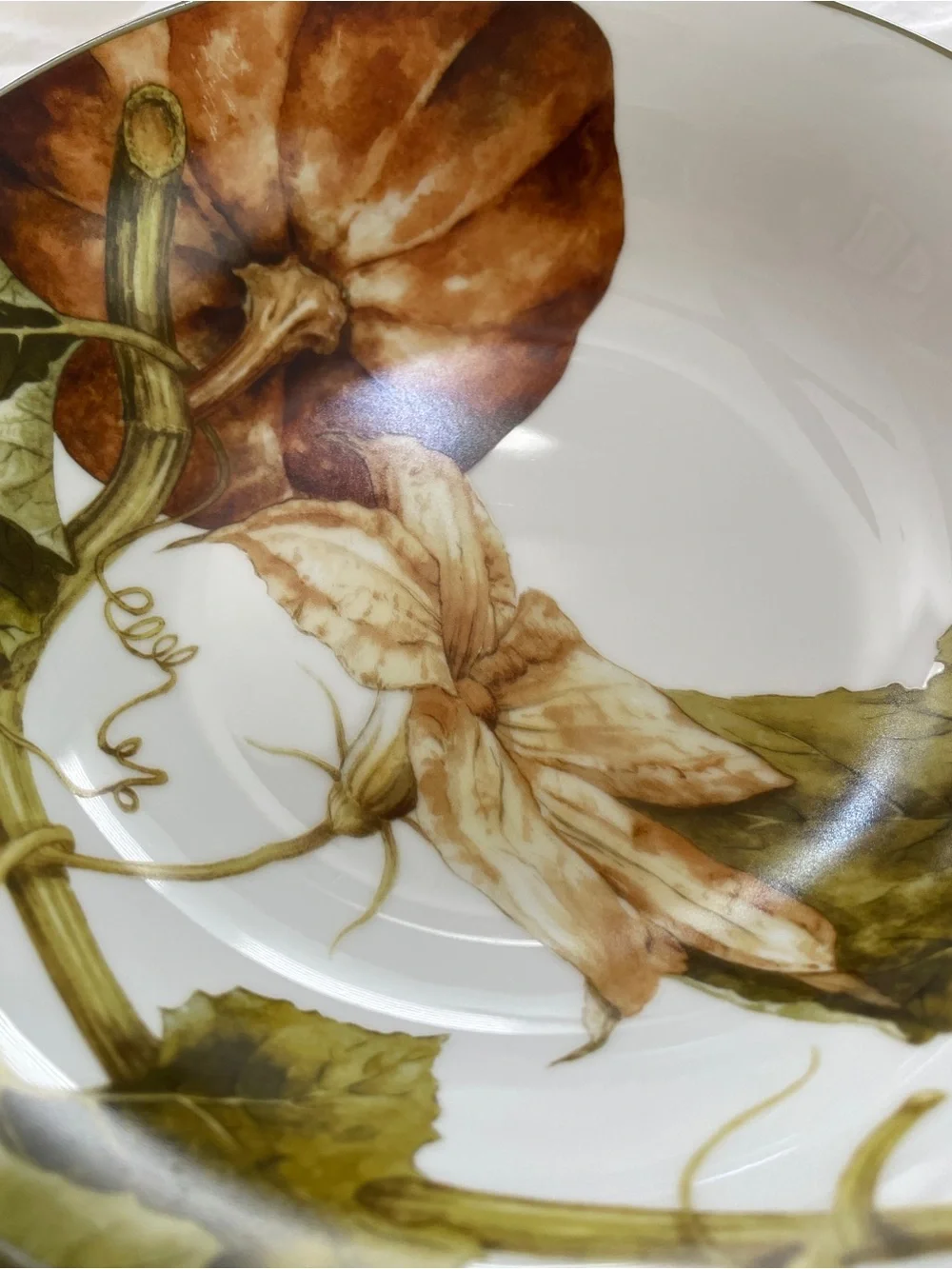 Williams Sonoma Botanical Pumpkin Coupe Soup Bowls 8.75” (Set of 2)
